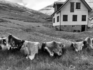 Croatia 2024 Faroe Islands 2024