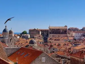 Croatia 2024 dubrovnik 14
