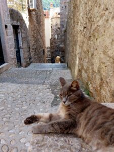 Croatia 2024 dubrovnik 40