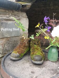 Cornwall 2019 the lost gardens of heligan 07