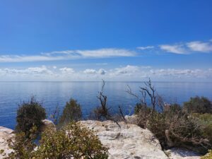 Benidorm 2023 512005409 10161701025982934 1975478038025382463 n