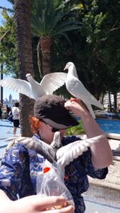 Benidorm 2023 512048691 10161701849862934 1793358109551941642 n