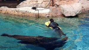 Benidorm 2023 512655174 10161701026252934 8159093018094267499 n