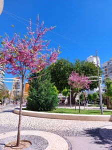 Benidorm 2023 512693366 10161701026337934 1963585206262057014 n