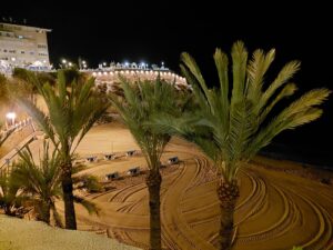 Benidorm 2023 512936580 10161701025602934 1698172852175308151 n