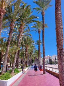 Benidorm 2023 513169506 10161701849857934 2495388891160600100 n