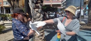 Benidorm 2023 513214904 10161701849827934 8337474059477596284 n