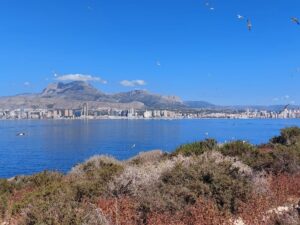 Benidorm 2023 513237204 10161701025887934 9031794260432981103 n