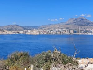 Benidorm 2023 513741677 10161701025807934 5265840990694080660 n