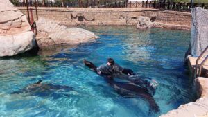 Benidorm 2023 513868972 10161701025967934 1491684822601503505 n