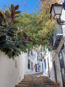 Benidorm 2023 514250958 10161702114672934 7227387052702161191 n