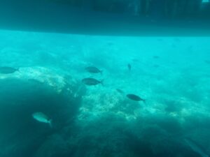 Benidorm 2023 514267689 10161701025697934 3679425182273971737 n