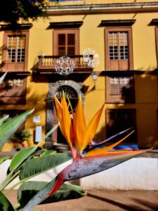 Prague 2023 514268250 10161739894857934 1262292325668120585 n