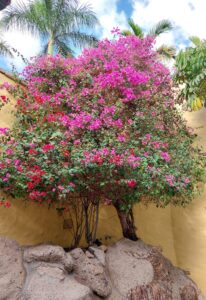 Prague 2023 514401508 10161739893537934 3341934589241000792 n