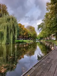 Holland 2023 515148350 10161732091927934 7906675450474433316 n