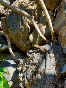 Prague 2023 515306083 10161739894827934 8134029864363340079 n