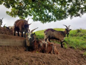 Holland 2023 515439964 10161732092132934 1086471828926909774 n