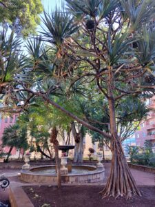 Prague 2023 515607941 10161739893462934 1421510264998428848 n