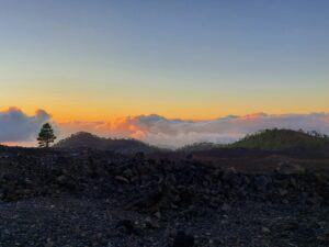 Prague 2023 515621693 10161739893112934 5221671362504173001 n