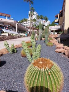 Prague 2023 515727979 10161739893082934 7299064724888158161 n