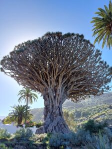 Prague 2023 515923892 10161739894907934 1639077680783104262 n