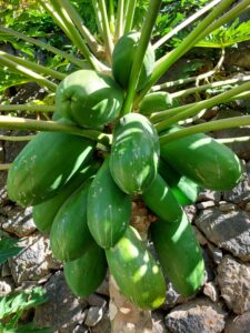 Prague 2023 516061755 10161739894672934 5302805553951304825 n