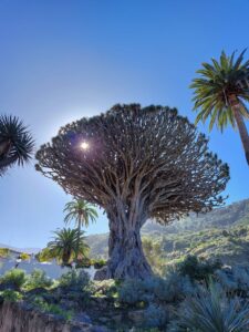 Prague 2023 516386241 10161739894727934 3668558517819936573 n