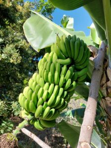 Prague 2023 516440092 10161739894862934 8233420108109932751 n