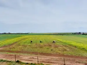 Morocco 490315098 10161403954957934 4676564532532890133 n