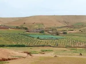 Morocco 490346218 10161403953457934 7390867130834370152 n