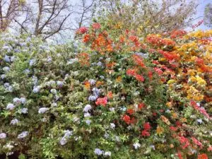 Morocco 490348419 10161403893262934 7591026511754911368 n