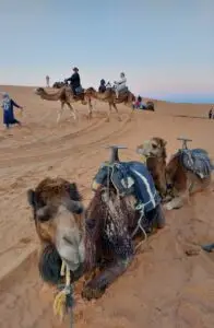 Morocco 490513963 10161410668772934 2600993511559037087 n