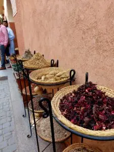 Morocco 490728642 10161403887282934 1095396317027149763 n