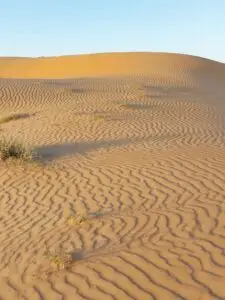 Morocco 490738595 10161410670832934 8248892678962419866 n