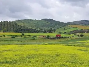 Morocco 490764747 10161404033067934 1568961008646251031 n