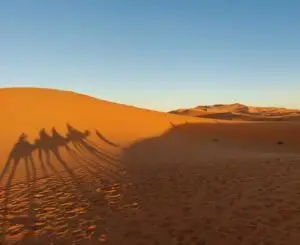 Morocco 490857088 10161410667802934 6737731703590824029 n