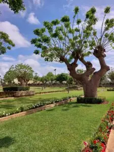 Morocco 490879974 10161404019007934 2805224016015784905 n