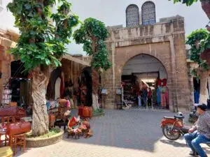 Morocco 491267069 10161403956562934 4840639470576356394 n