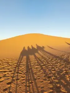 Morocco 491557435 10161410667257934 7341897771657936563 n