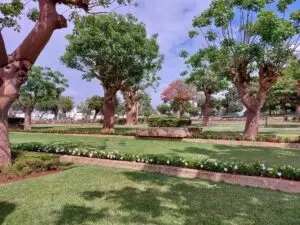 Morocco 491766246 10161404017582934 6633021331704220652 n