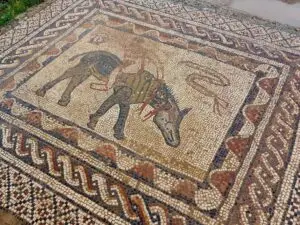 Morocco 491880540 10161404034587934 4574228827913543001 n