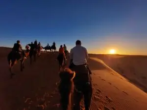 Morocco 492008248 10161410666802934 575105720715686880 n