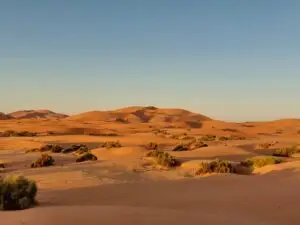 Morocco 492031190 10161410671202934 5171018697627153976 n