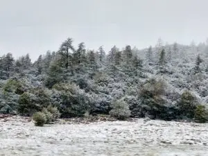 Morocco 492059776 10161410663717934 1282687756959963808 n