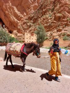 Morocco Morocco 2025