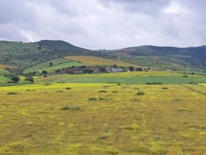 Morocco 492242346 10161404032527934 7899903118652332890 n