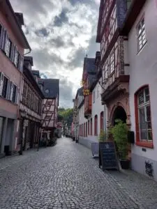 Maple Germany 2025 566207944 10162286537312934 8513204132860253805 n