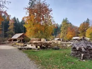 Maple Germany 2025 568551639 10162282362577934 3964169906036838278 n