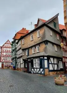 Maple Germany 2025 569626412 10162303184732934 7248136941087880477 n