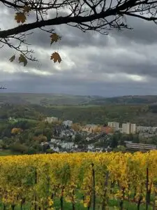 Maple Germany 2025 569755870 10162299232712934 234020586440769933 n